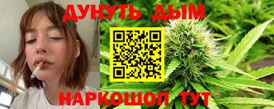 Альфа ПВП Сланцы