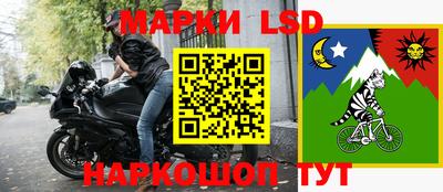 Альфа ПВП Сланцы