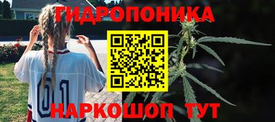Альфа ПВП Сланцы
