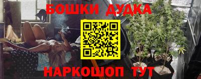 Альфа ПВП Сланцы