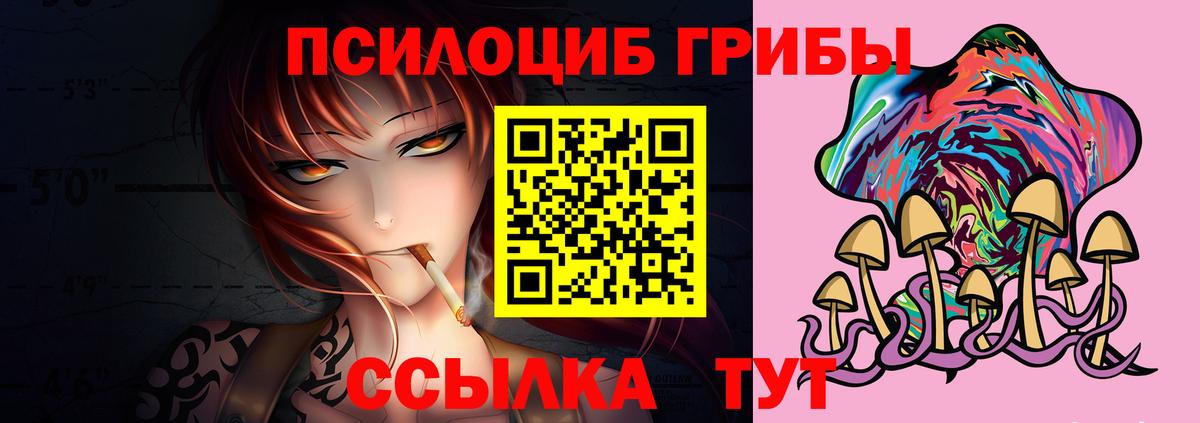 Псилоцибиновые грибы Cubensis Белогорск